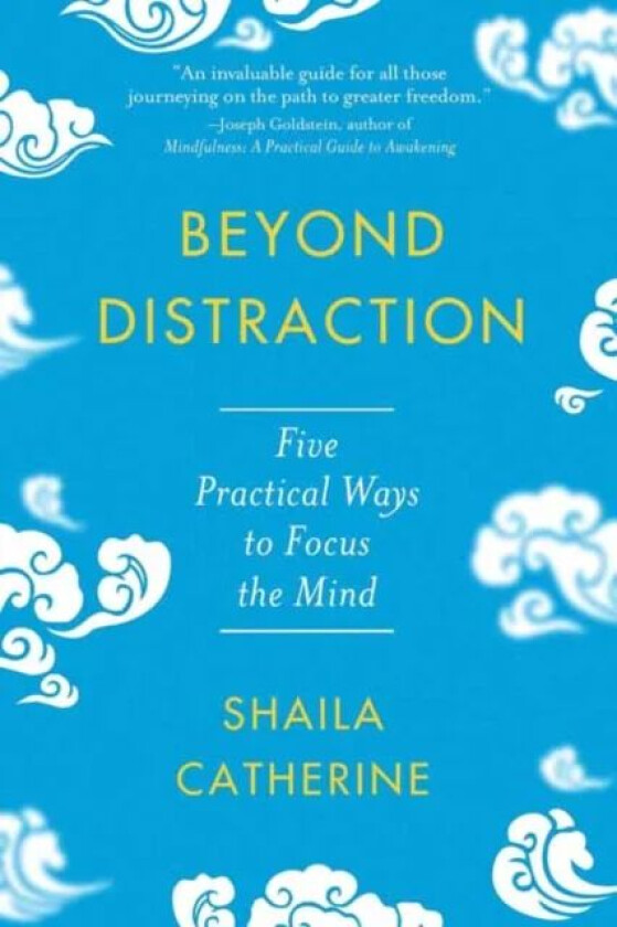 Beyond Distraction av Shaila Catherine