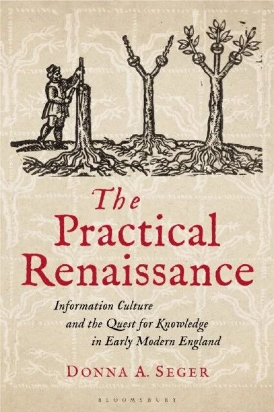 The Practical Renaissance av Donna A. (Salem State University USA) Seger