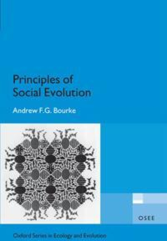 Principles of Social Evolution