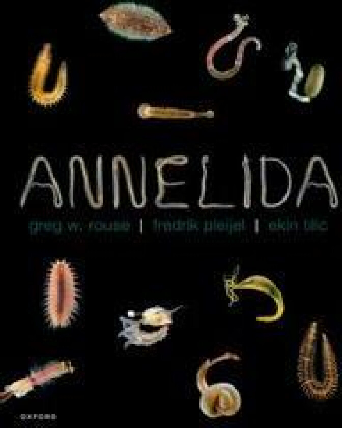 Annelida