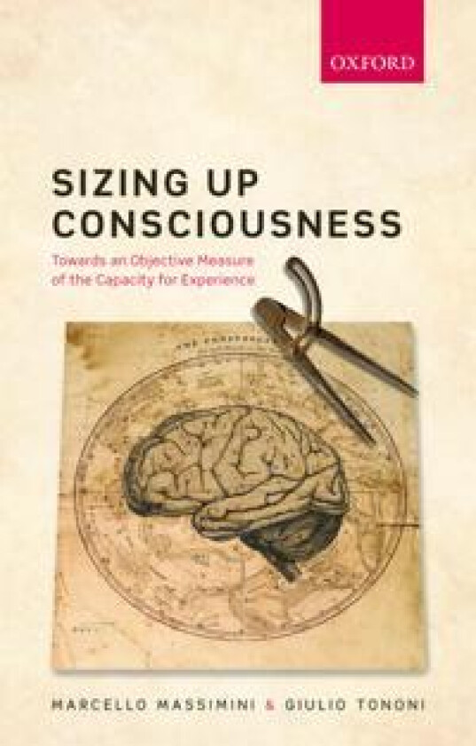 Sizing up Consciousness