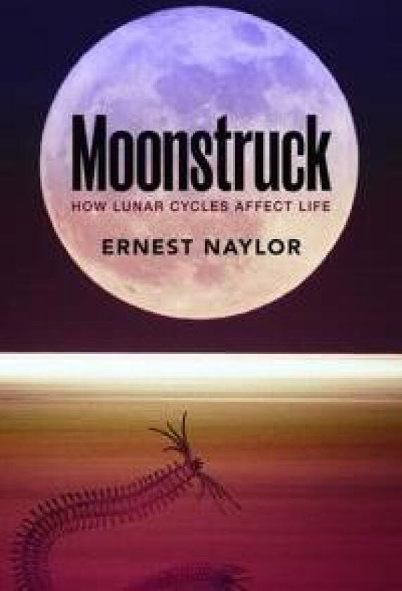 Moonstruck