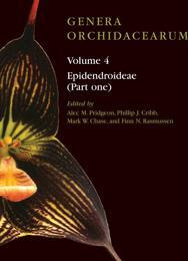 Genera Orchidacearum Volume 4