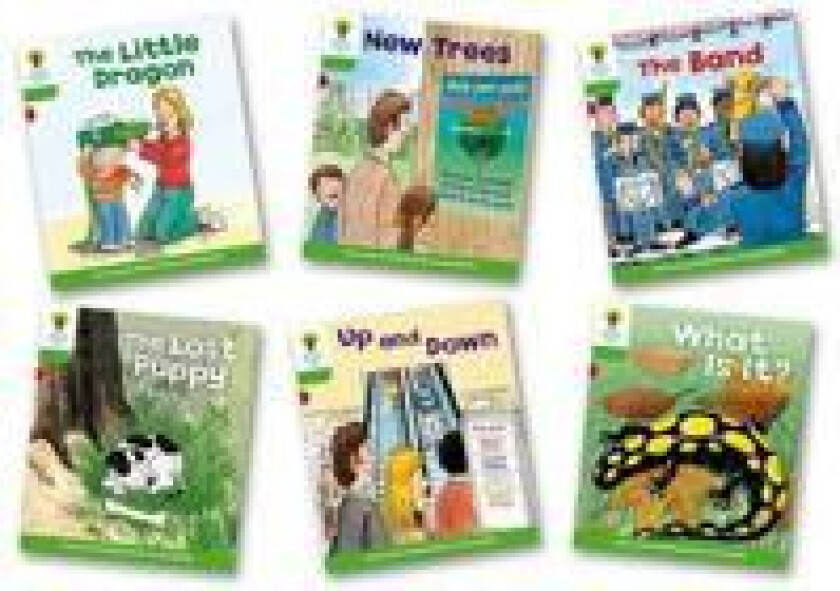 Oxford Reading Tree: Level 2: More Patterned Stories A: Pack of 6