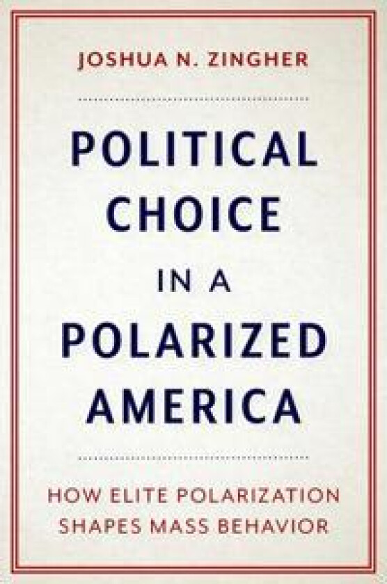 Political Choice in a Polarized America