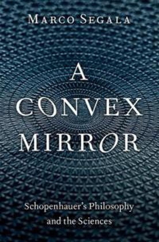 A Convex Mirror