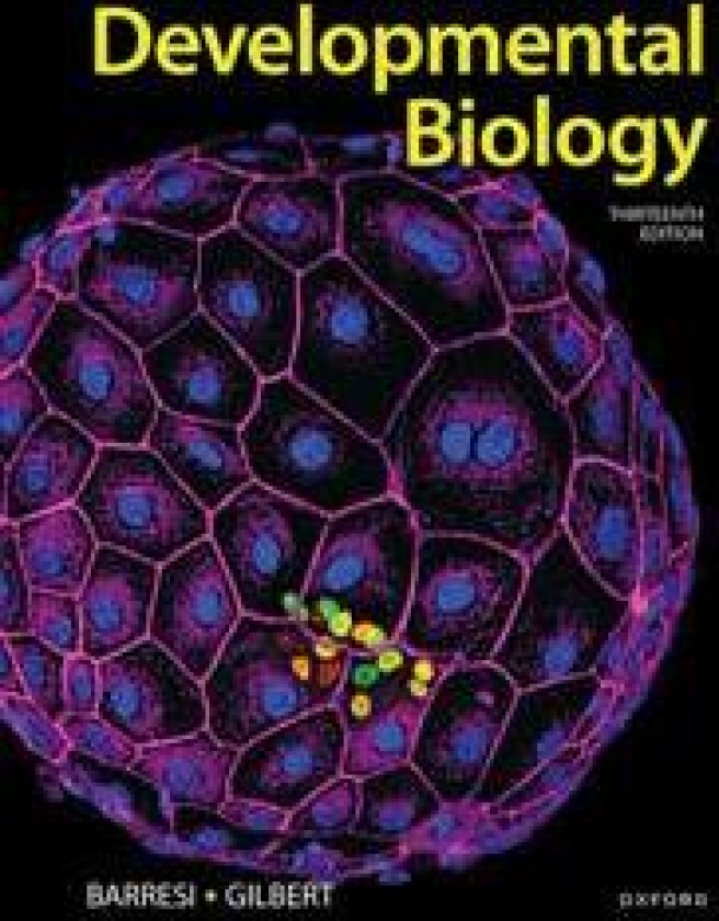 Developmental Biology