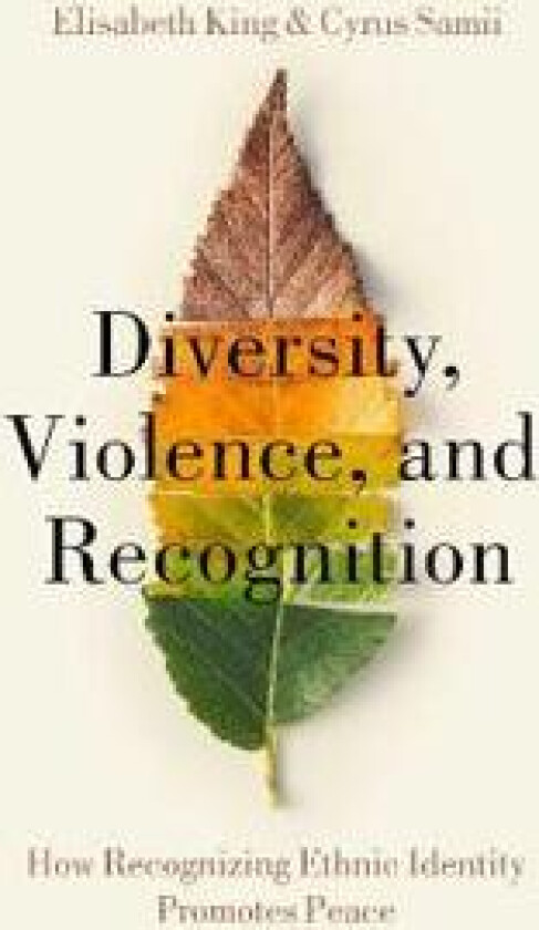 Diversity, Violence, and Recognition