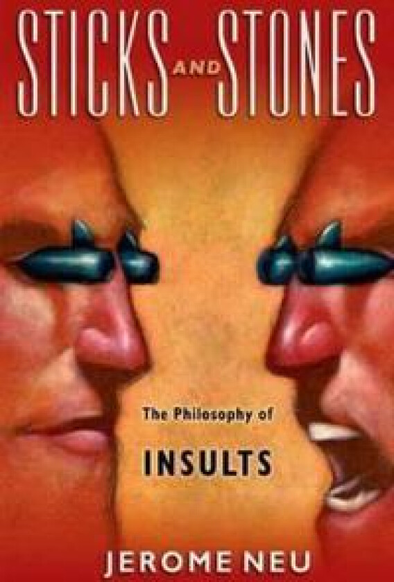 Sticks and Stones The Philosophy of Insults