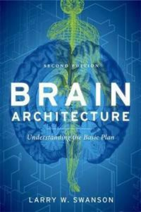 Brain Architecture