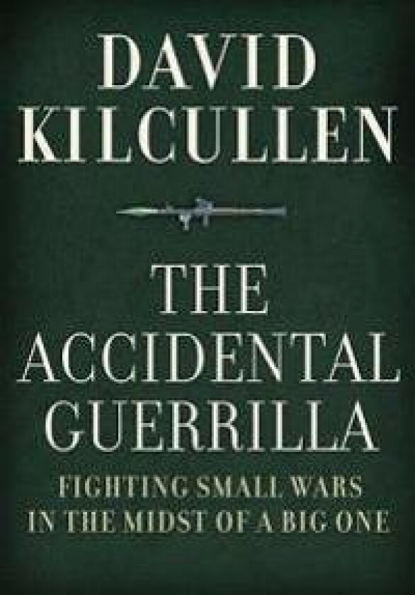 Accidental Guerrilla: Fighting Small Wars in the Midst of a Big One