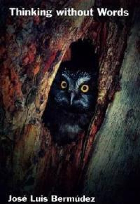 Thinking Without Words