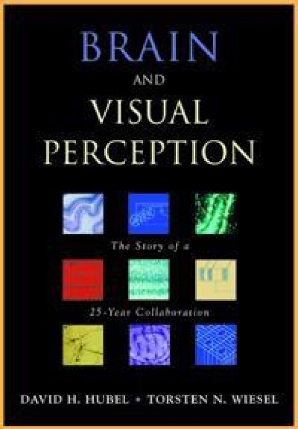Brain and Visual Perception