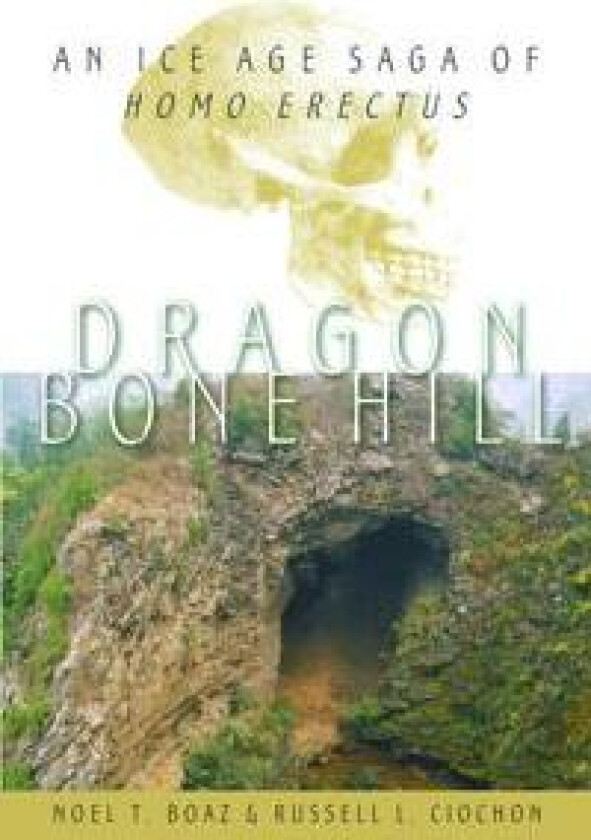 Dragon Bone Hill