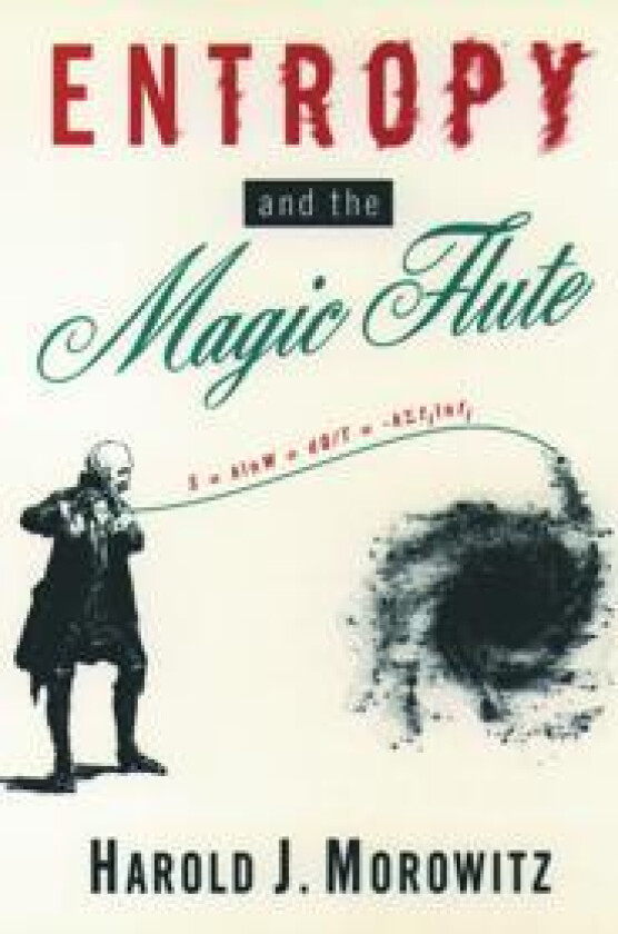 Entropy and the Magic Flute