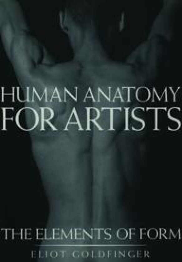 Human Anatomy for Artists