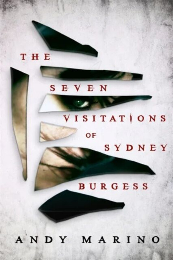 The Seven Visitations of Sydney Burgess av Andy Marino