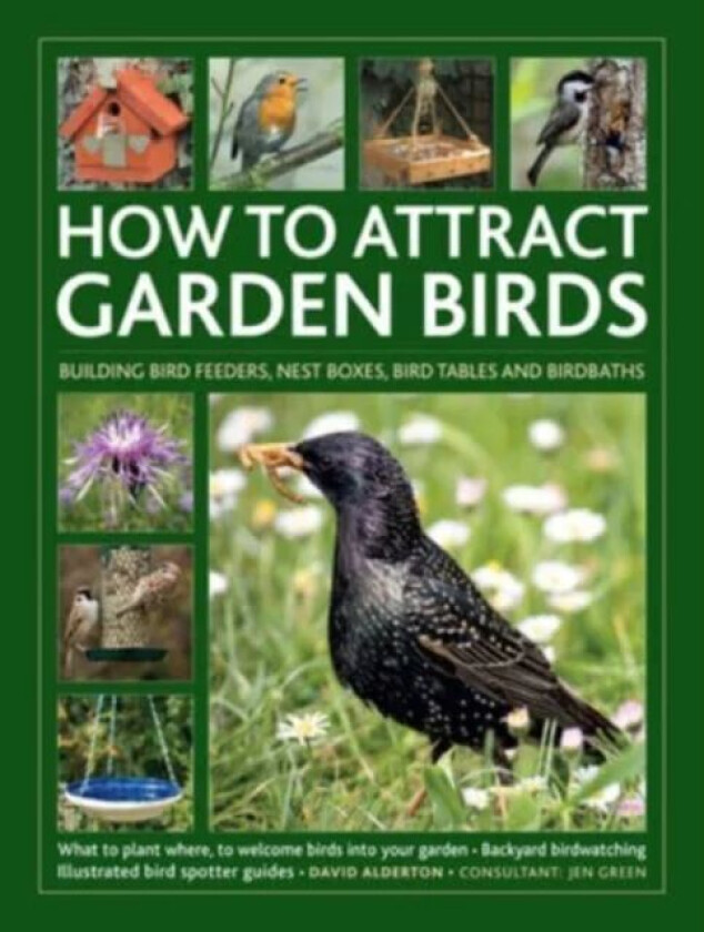 How to Attract Garden Birds av David Alderton