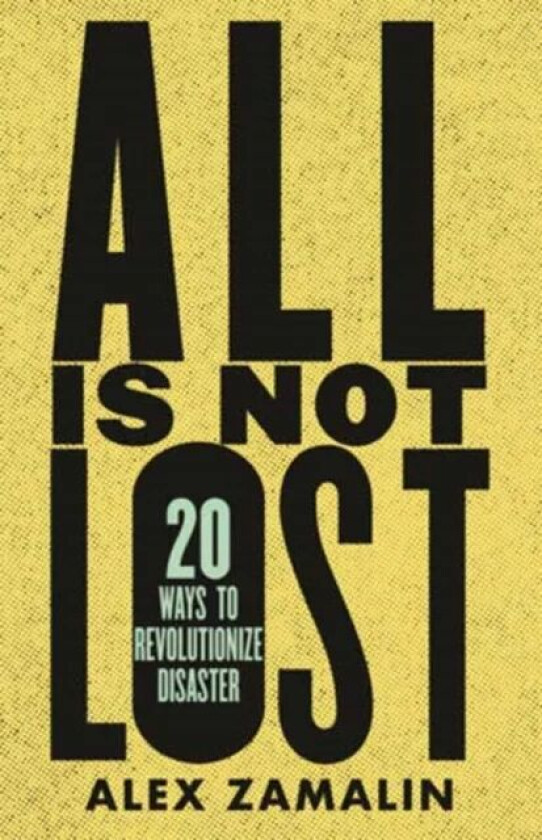 All Is Not Lost av Alex Zamalin