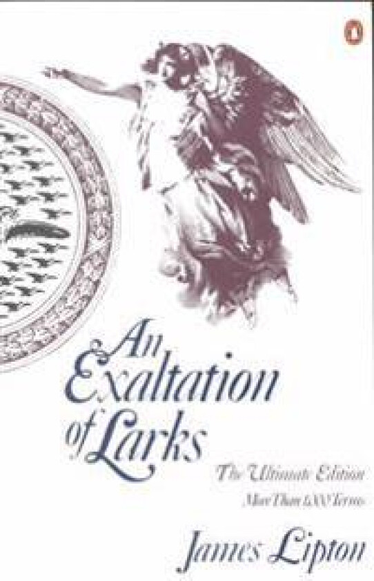 An Exaltation of Larks