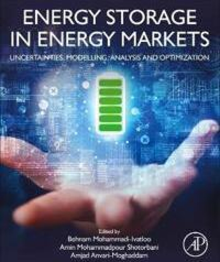 Energy Storage in Energy Markets