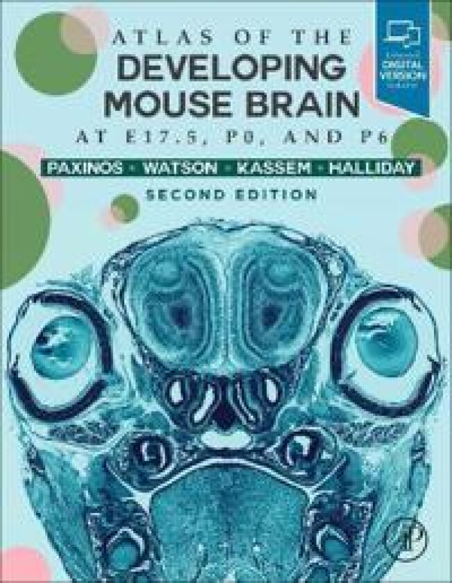 Atlas of the Developing Mouse Brain