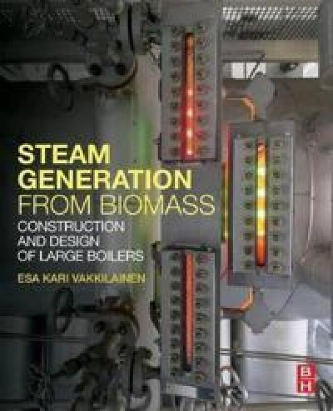 Steam Generation from Biomass