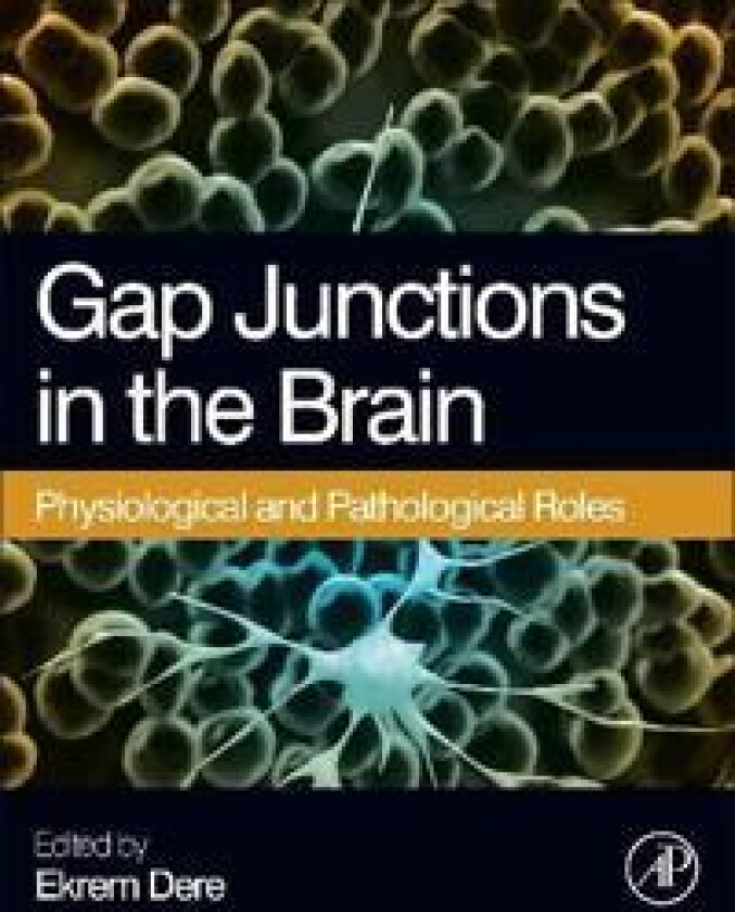 Gap Junctions in the Brain