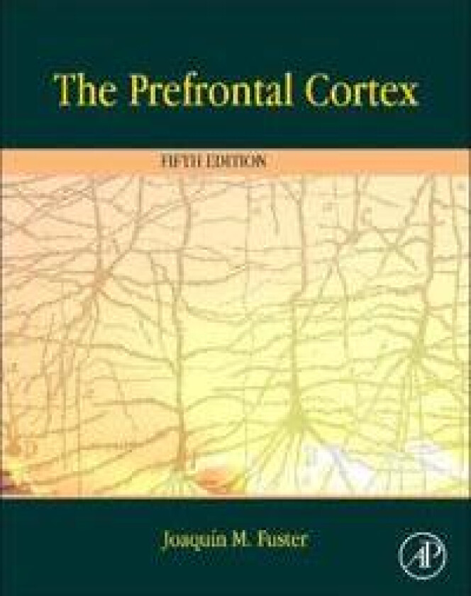 The Prefrontal Cortex