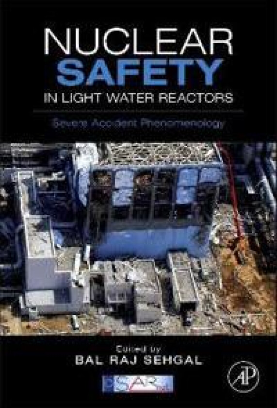 Nuclear Safety in Light Water Reactors