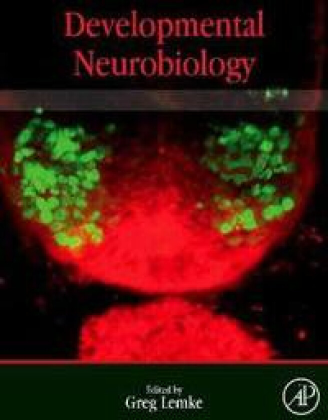 Developmental Neurobiology