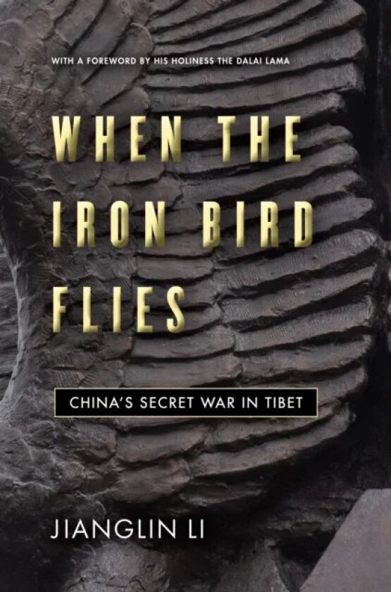 When the Iron Bird Flies av Jianglin Li