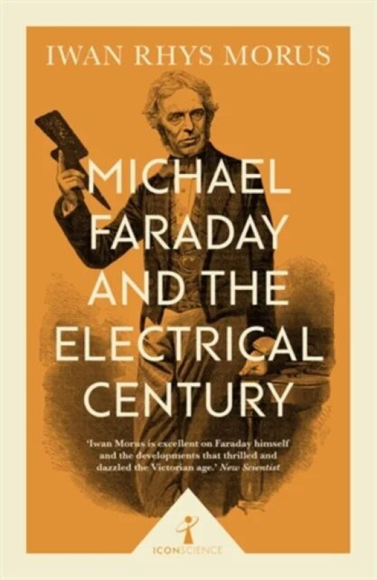 Michael Faraday and the Electrical Century (Icon Science) av Iwan Rhys Morus