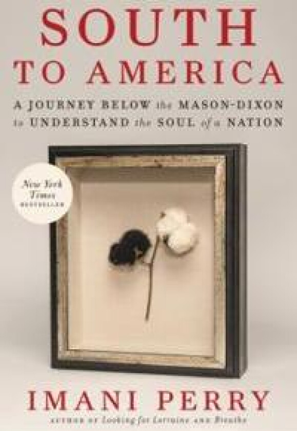 South to America: A Journey Below the Mason-Dixon to Understand the Soul of a Nation