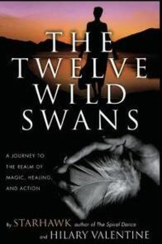 The Twelve Wild Swans