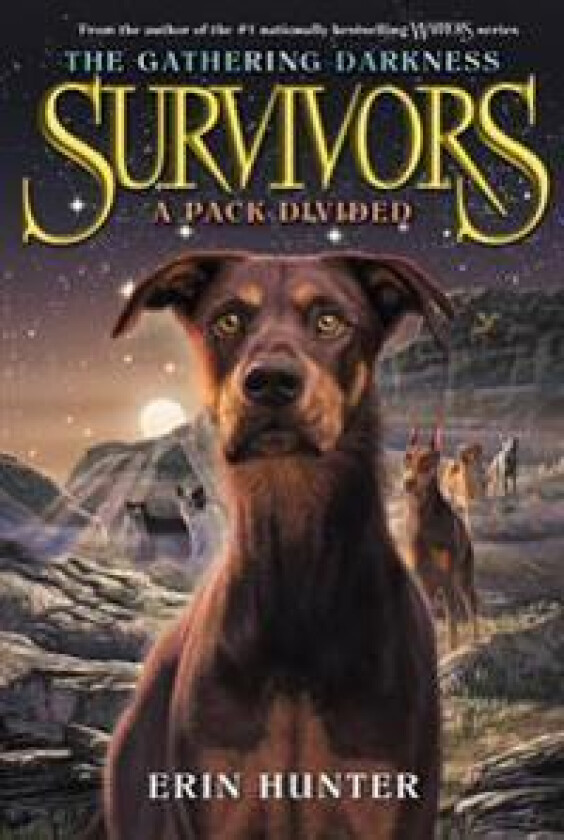 SURVIVORS GATHERING01 PACK DIVIDED