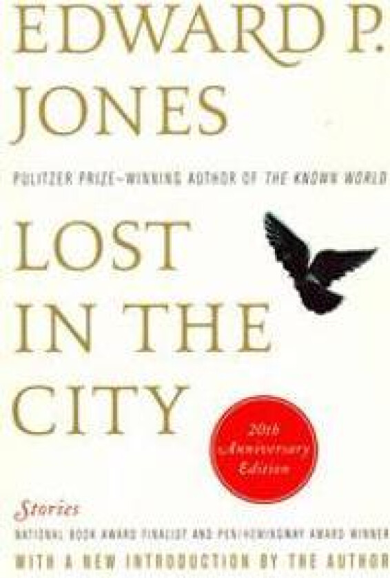 Lost in the City - 20th Anniversary Edition: Stories