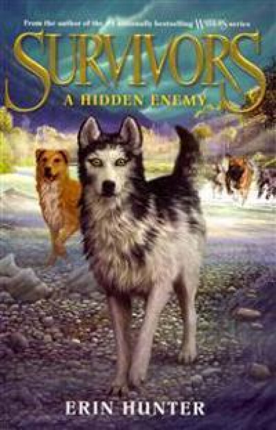 A Hidden Enemy