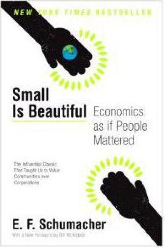 Small Is Beautiful: Economics as If People Mattered