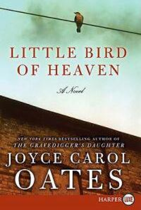 Little Bird of Heaven