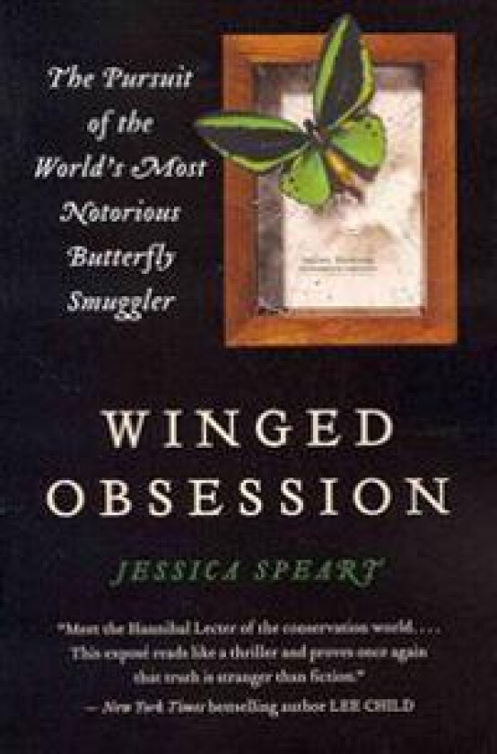 Winged Obsession