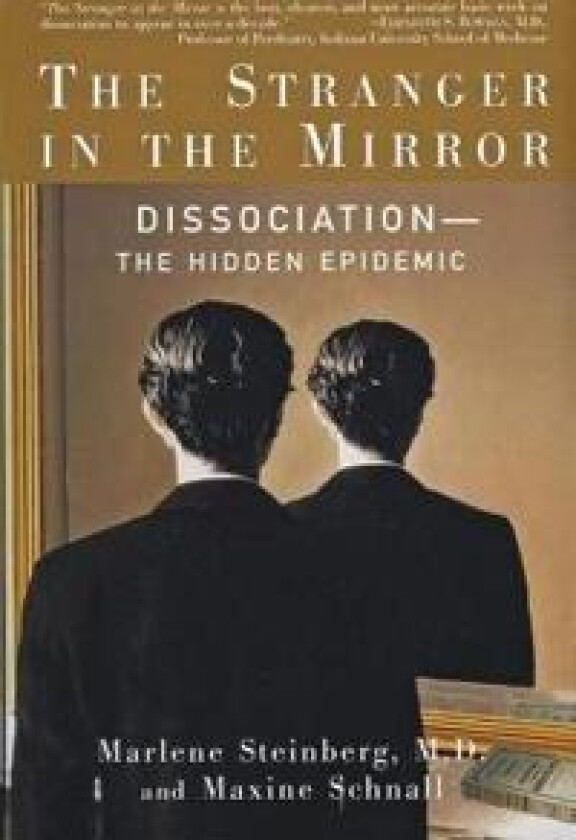 The Stranger in the Mirror