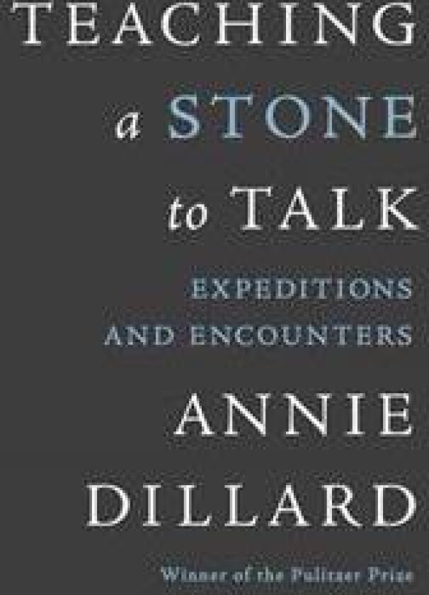 Teaching a Stone to Talk