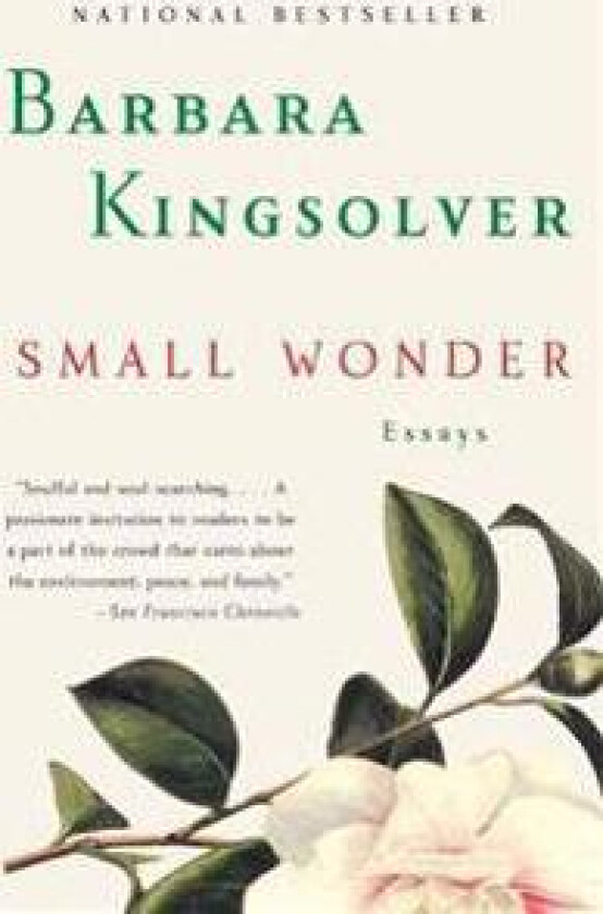 Small Wonder: Essays