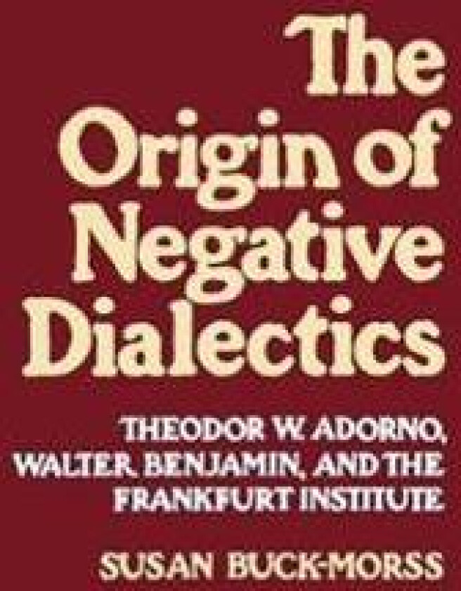 Origin of Negative Dialectics