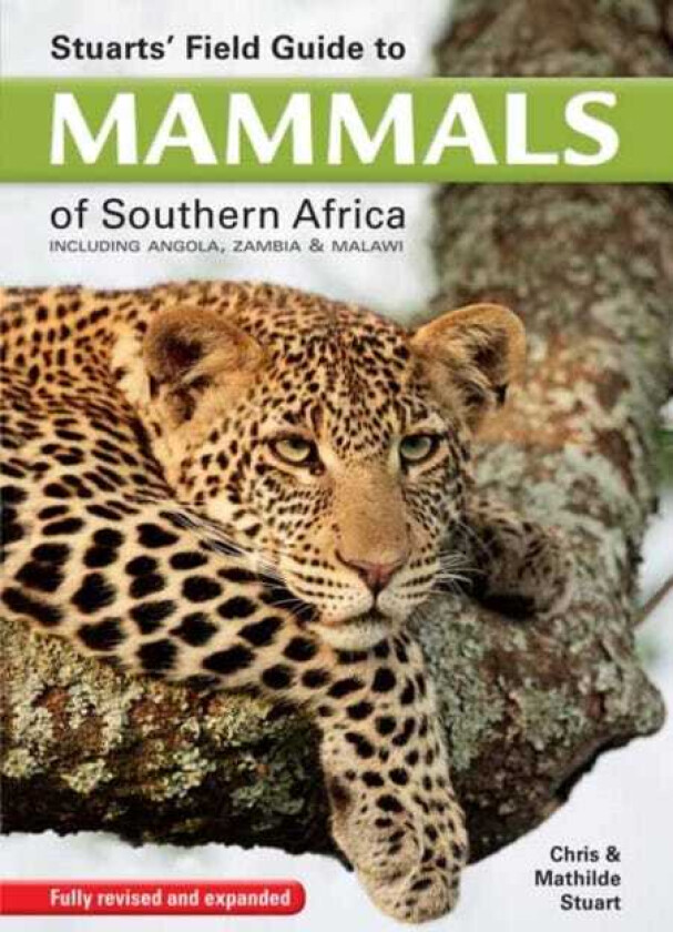 Stuarts' Field Guide to Mammals of Southern Africa Including Angola, Zambia & Malawi