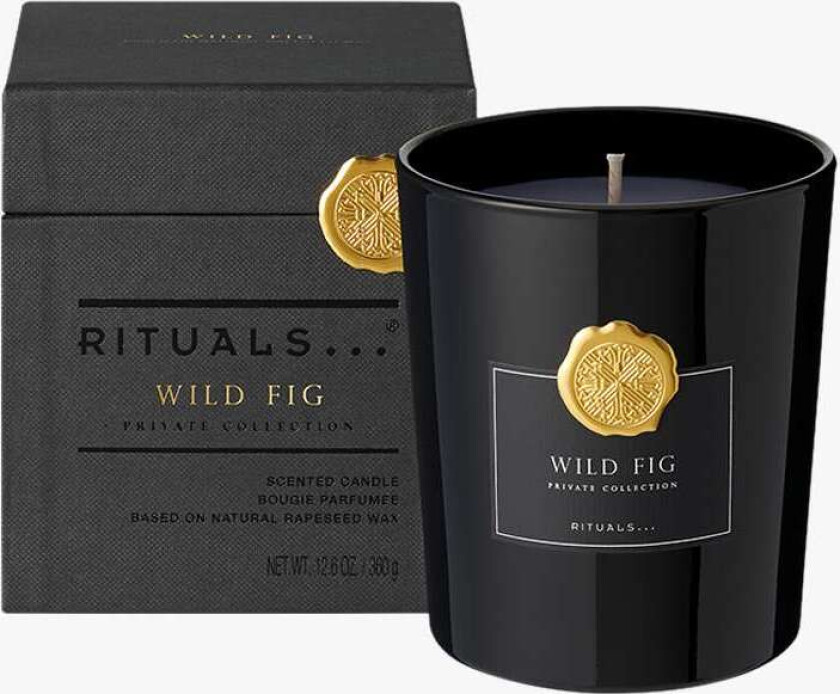 Wild Fig Scented Candle 360 g