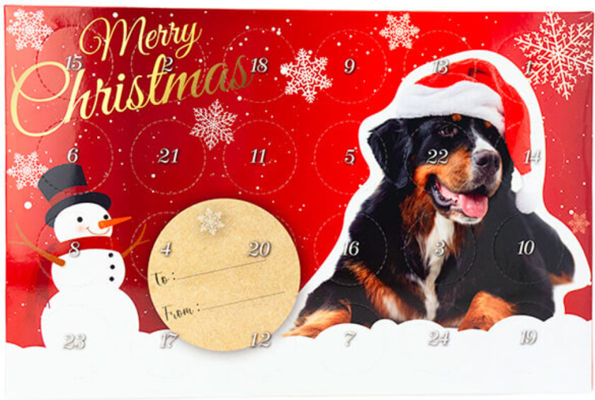 X-mas julekalender Mini treats