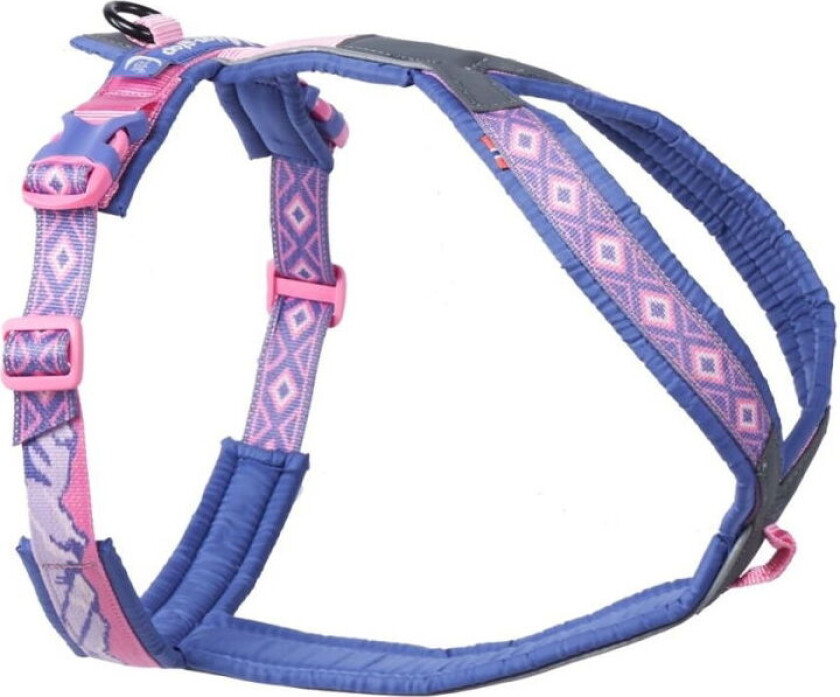 Line Rachel Pohl 5.0 Hundsele Rosa/Lila (5)