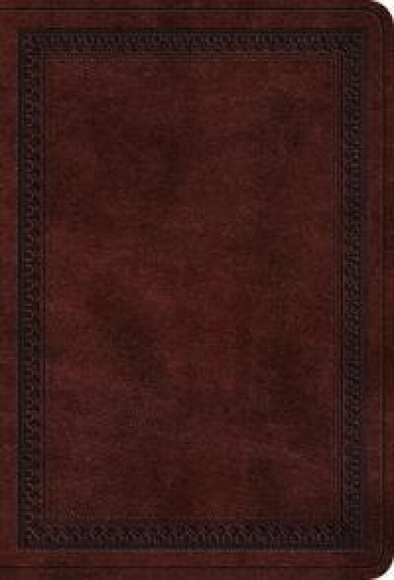 ESV Value Large Print Compact Bible